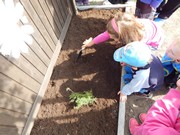 Zakládáme bylinkovou zahrádku